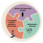 A circular diagram showing three categories with the following text: Women-only spaces and services; Motherhood and maternity; Co-designed women's pathway and partnerships.